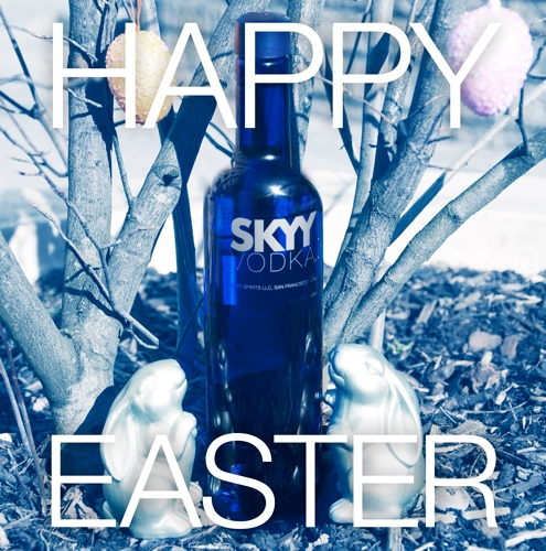 Skyy Vodka - Community Management